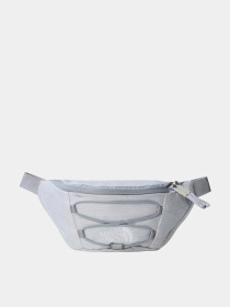 Сумки The North Face модель NF0A52TMEP41 Фото