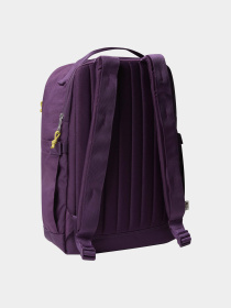 Рюкзаки The North Face модель NF0A52VQTIH1 Фото