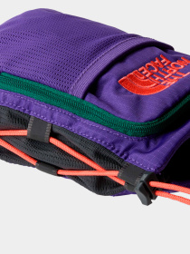 Сумки The North Face модель NF0A81DQXO51 Фото