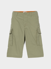 Шорты Timberland модель TB0A5TZQ5901 Фото