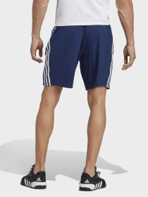 Шорты Adidas модель IB8246 Фото