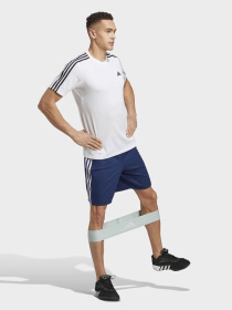 Шорты Adidas модель IB8246 Фото