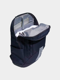 Рюкзаки Adidas модель IK4801 Фото