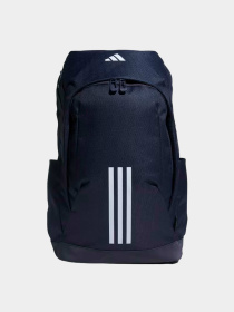 Рюкзаки Adidas модель IK4801 Фото