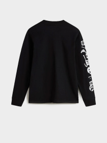 Худи и свитшоты Vans модель VN000GDDBLK1 Фото