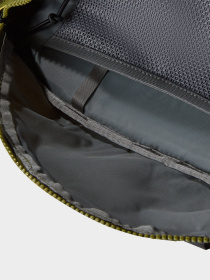 Сумки The North Face модель NF0A81ENYI41 Фото