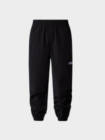 Брюки The North Face модель NF0A8767JK31 Фото