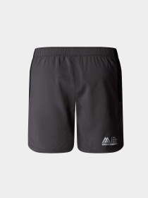 Шорты The North Face модель NF0A87JMW9O1 Фото
