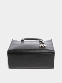 Сумки DKNY модель R33D3Y94-BGD-SS24 Фото