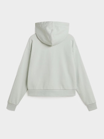 Худи и свитшоты Vans модель VN000JF6CHF1 Фото