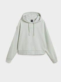 Худи и свитшоты Vans модель VN000JF6CHF1 Фото