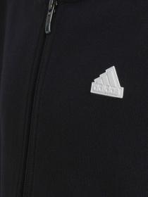Худи и свитшоты Adidas модель HR6317 Фото