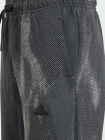 Брюки Adidas модель IT9038 Фото