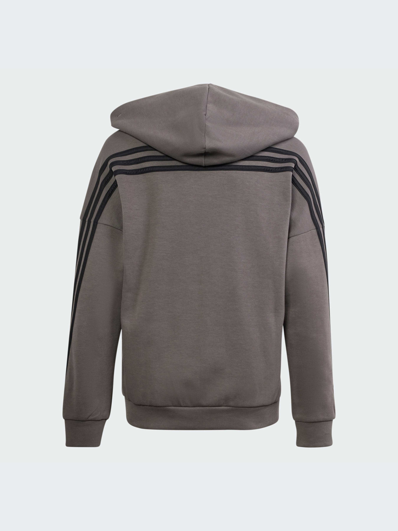 Худи и свитшоты Adidas модель IS4424 Фото