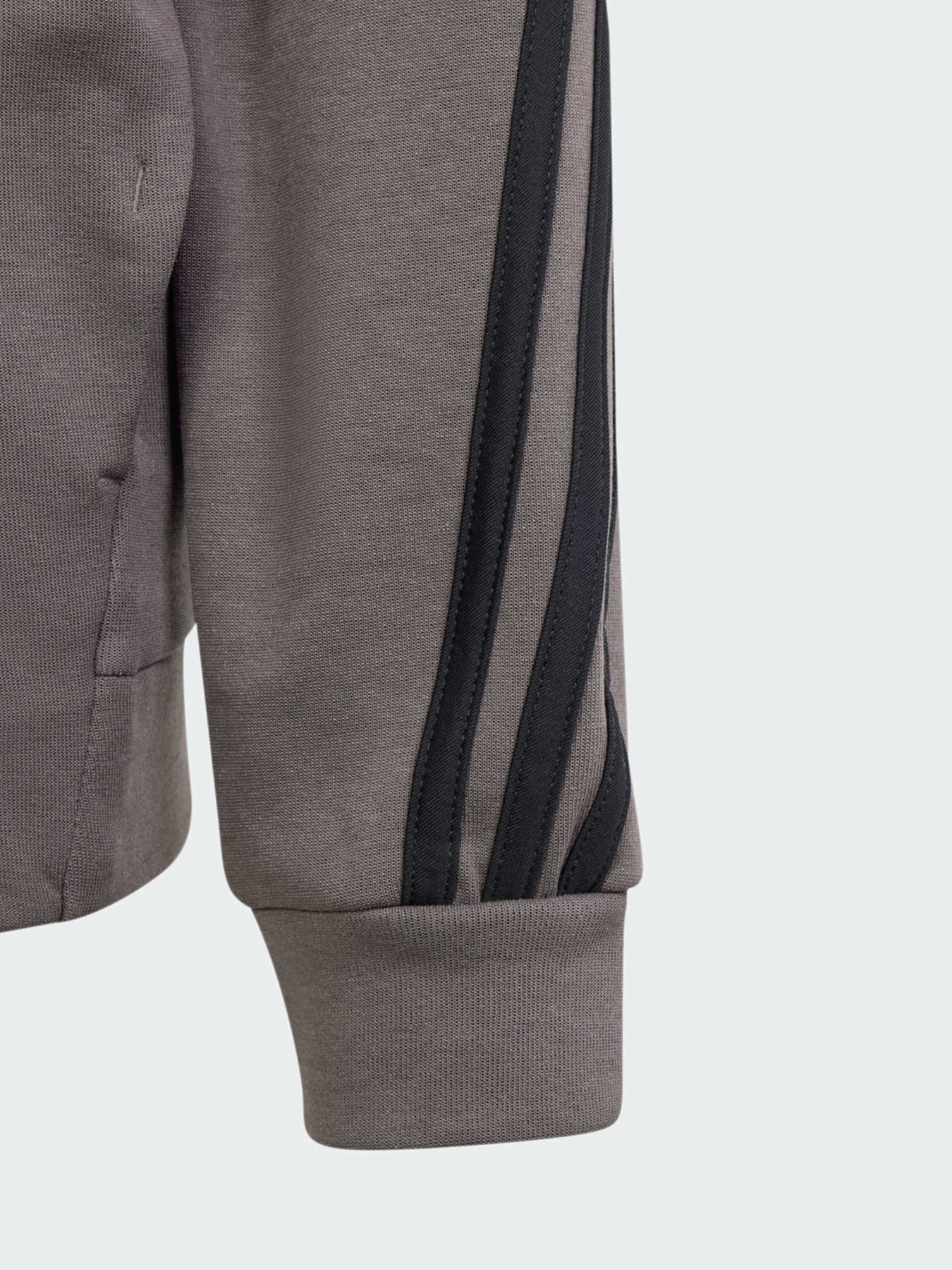 Худи и свитшоты Adidas модель IS4424 Фото