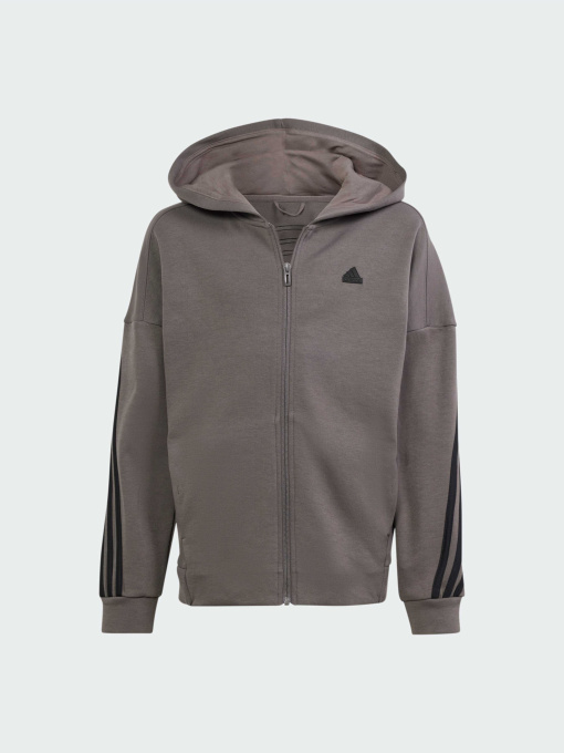 Худи и свитшоты Adidas модель IS4424 Фото