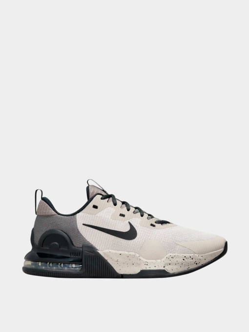 Кроссовки NIKE модель DM0829-013 Фото