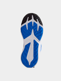 Кроссовки NIKE модель DX7614-400 Фото