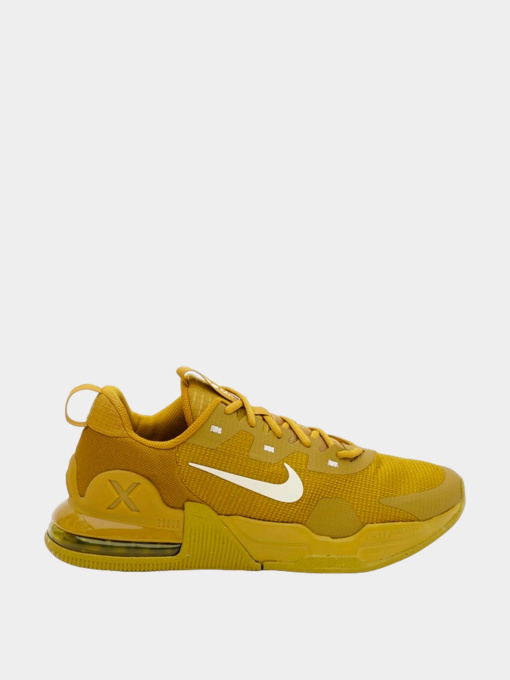 Кроссовки NIKE модель DM0829-700 Фото