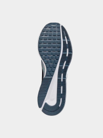 Кроссовки NIKE модель DR2695-402 Фото