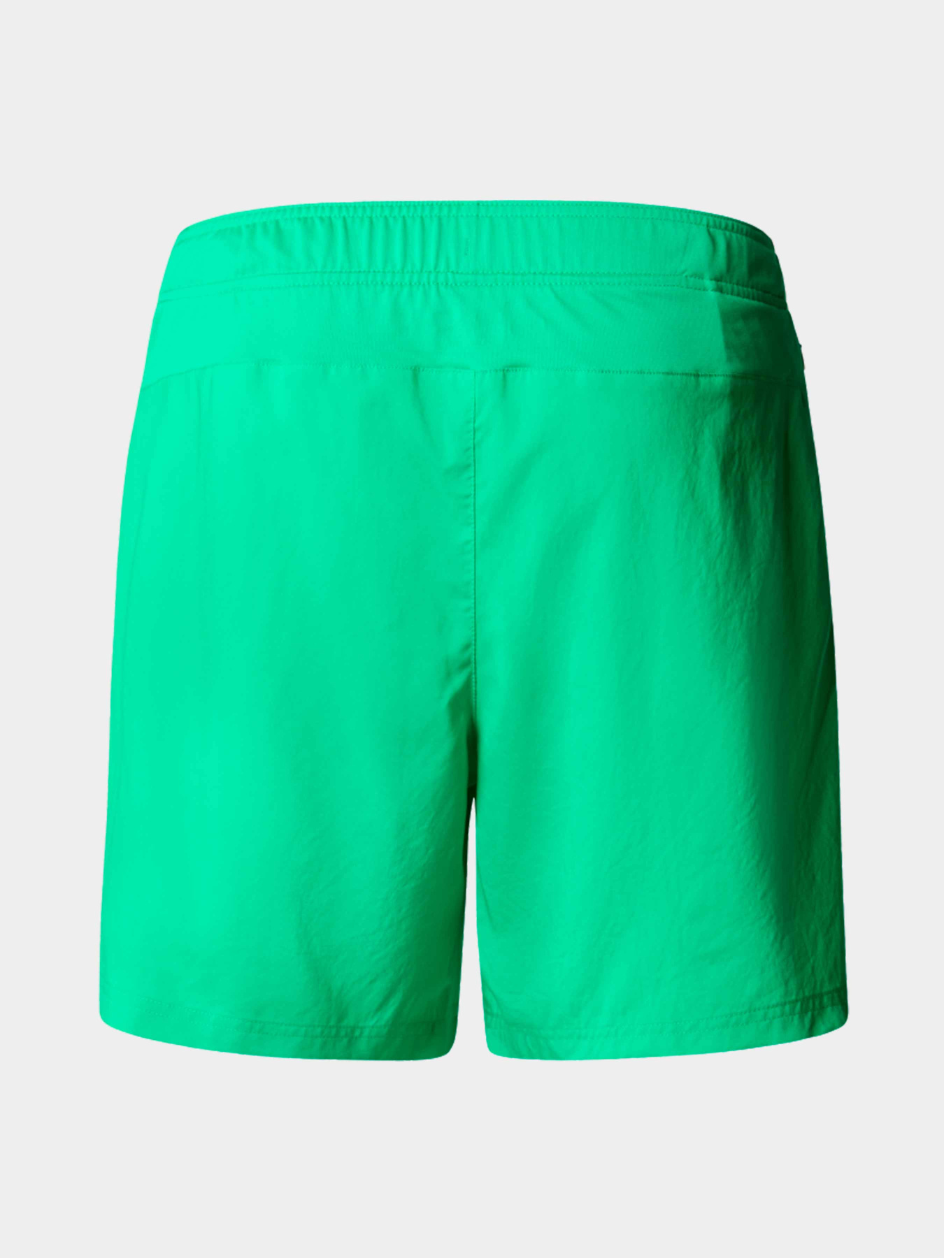 Шорты The North Face модель NF0A3O1BPO81 Фото