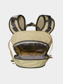 Рюкзаки The North Face модель NF0A52CYSOF1 Фото
