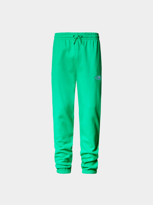 Брюки The North Face модель NF0A7ZJBPO81 Фото