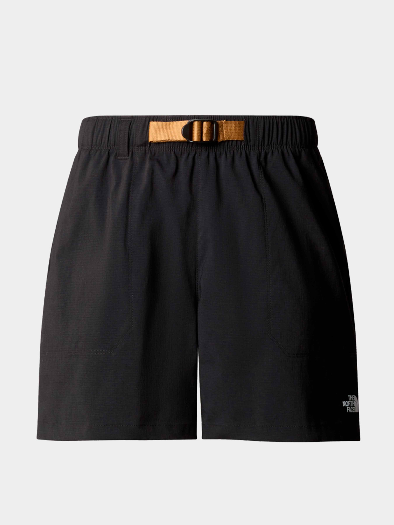 Шорты The North Face модель NF0A81VWJK31 Фото