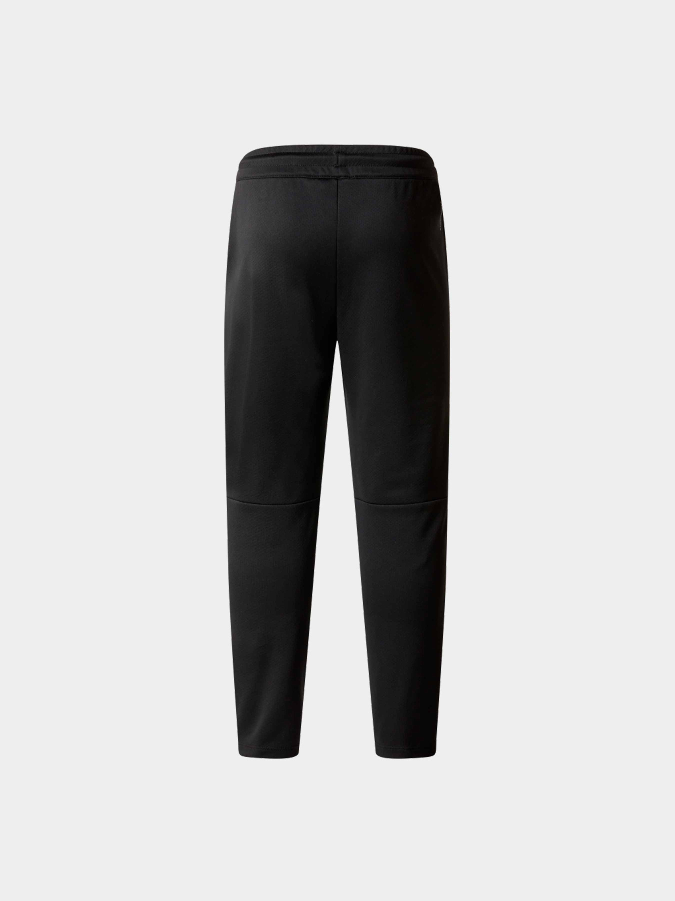 Брюки The North Face модель NF0A86U0JK31 Фото