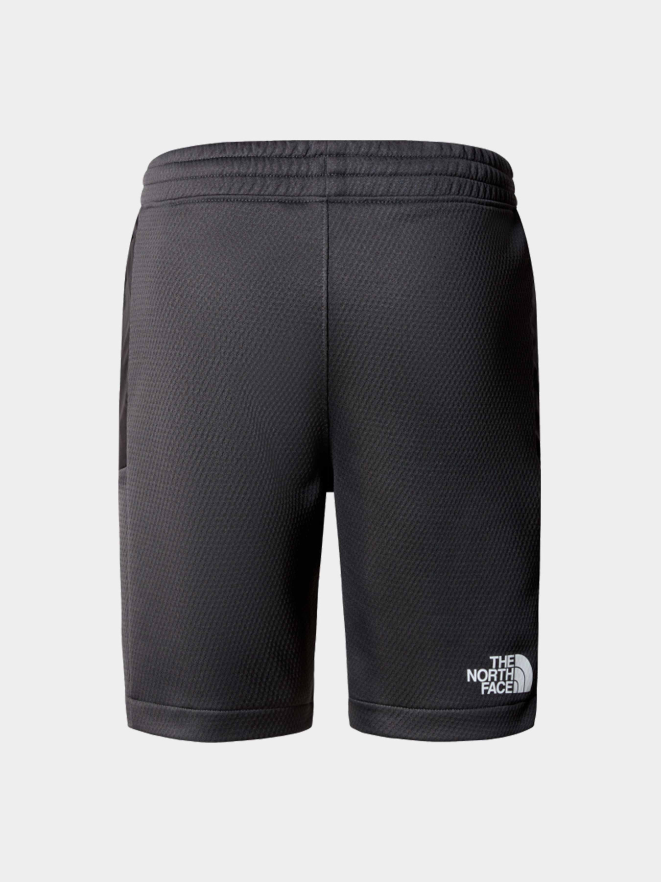 Шорты The North Face модель NF0A87B7MN81 Фото