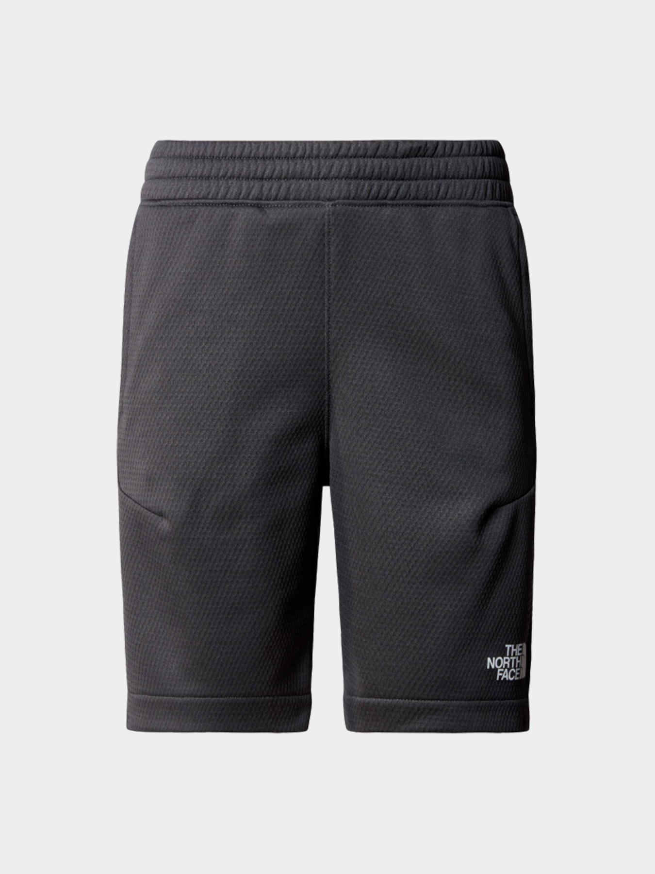 Шорты The North Face модель NF0A87B7MN81 Фото