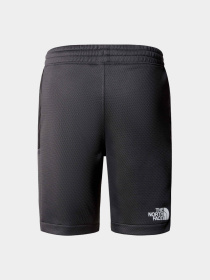 Шорты The North Face модель NF0A87B7MN81 Фото