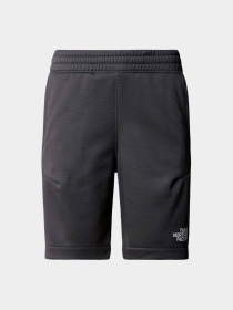 Шорты The North Face модель NF0A87B7MN81 Фото