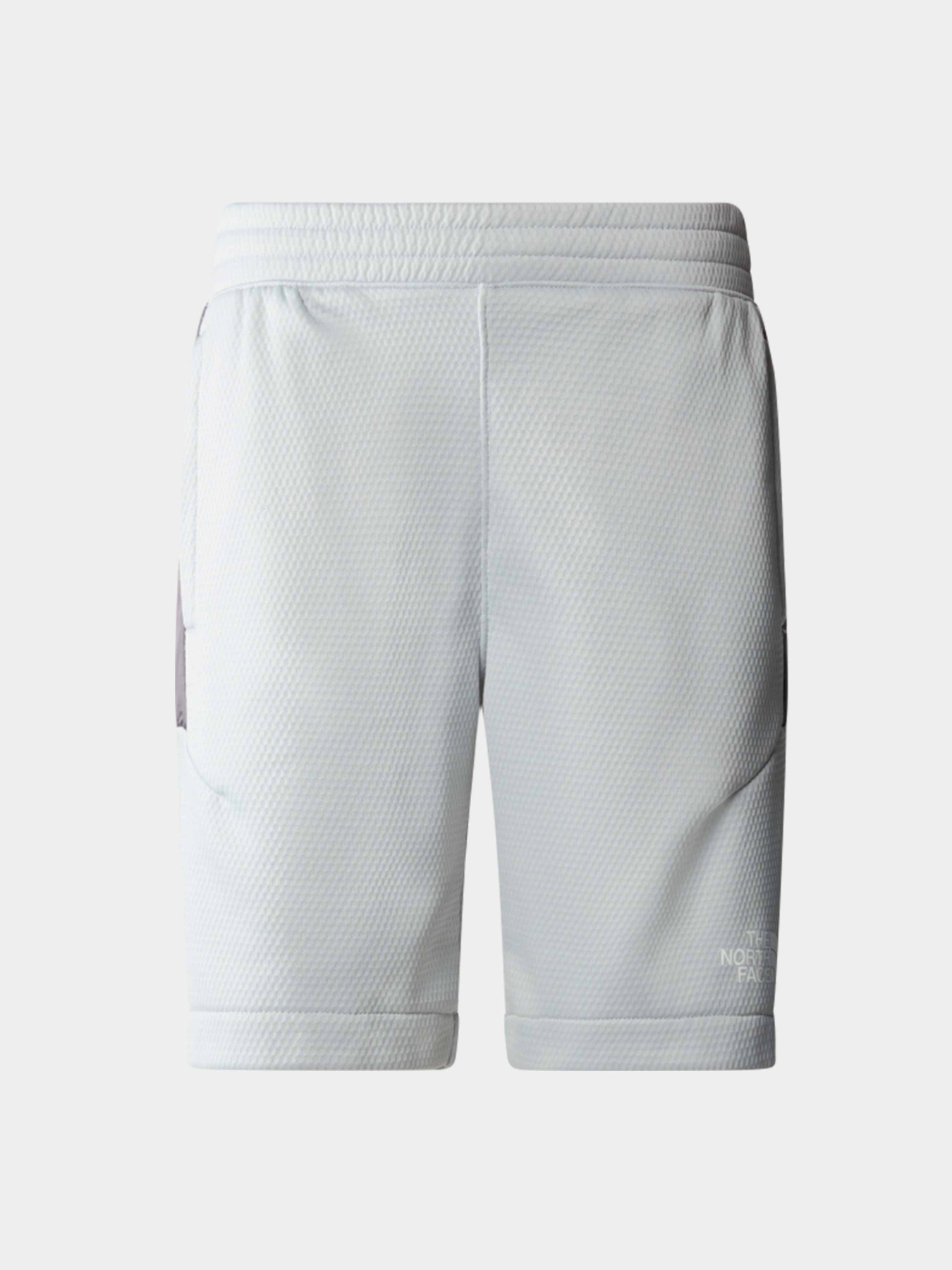 Шорты The North Face модель NF0A87B7RO51 Фото