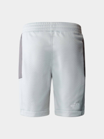 Шорты The North Face модель NF0A87B7RO51 Фото