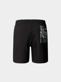 Шорты The North Face модель NF0A87ECJK31 Фото