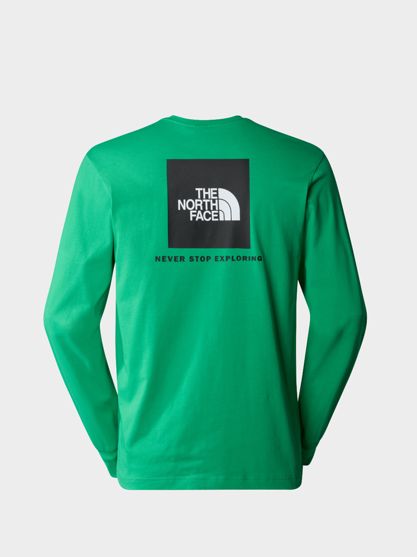 Худи и свитшоты The North Face модель NF0A87NNPO81 Фото