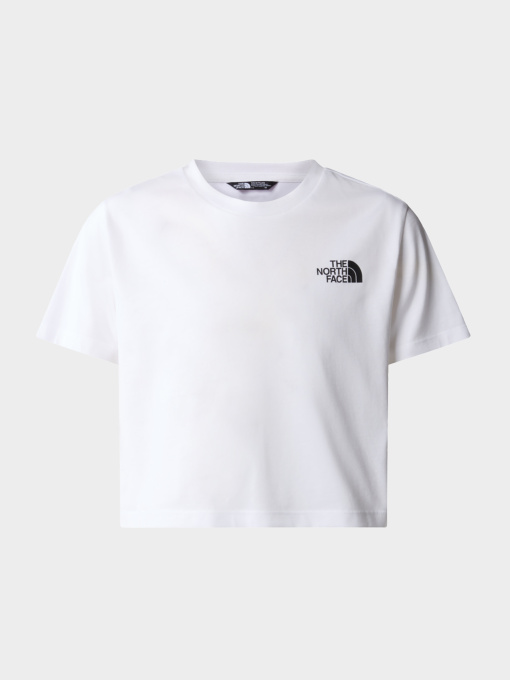 Футболки и поло The North Face модель NF0A87T3FN41 Фото