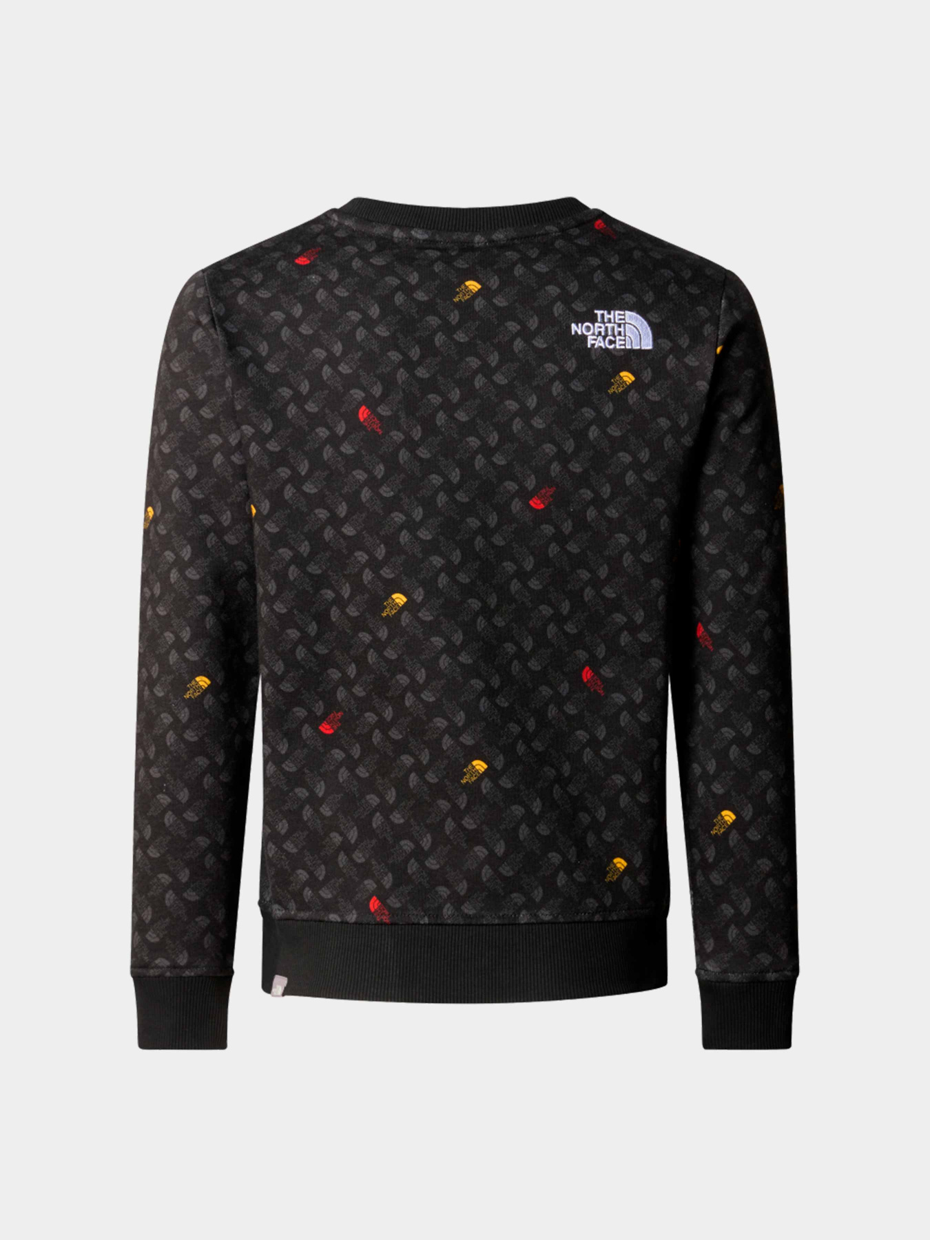 Худи и свитшоты The North Face модель NF0A8870U8I1 Фото