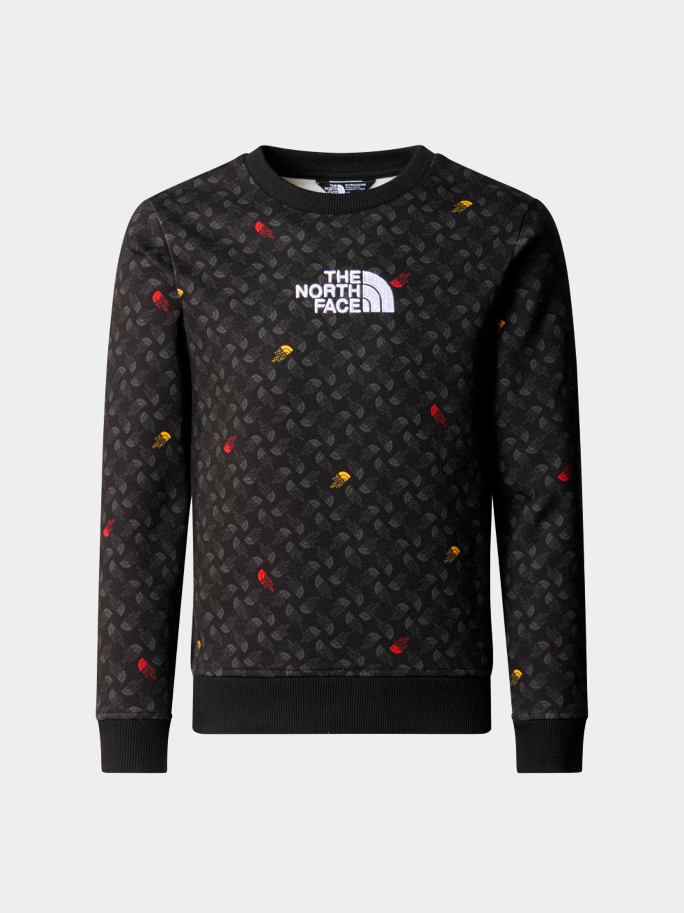 Худи и свитшоты The North Face модель NF0A8870U8I1 Фото