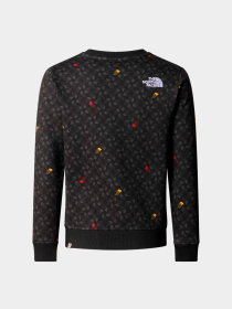Худи и свитшоты The North Face модель NF0A8870U8I1 Фото