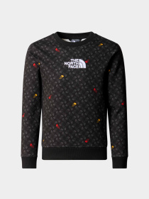 Худи и свитшоты The North Face модель NF0A8870U8I1 Фото