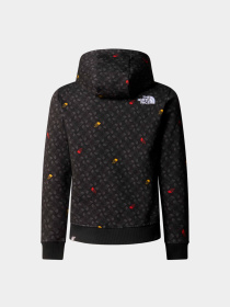 Худи и свитшоты The North Face модель NF0A886ZU8I1 Фото