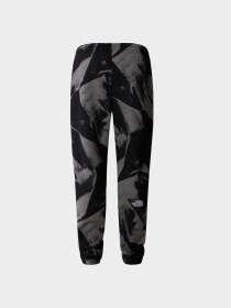 Брюки The North Face модель NF0A881JSIF1 Фото