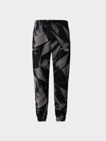 Брюки The North Face модель NF0A881JSIF1 Фото