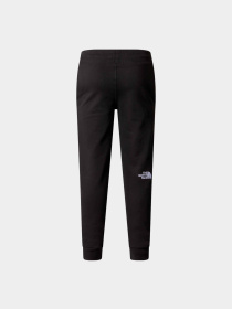 Брюки The North Face модель NF0A89SUJK31 Фото