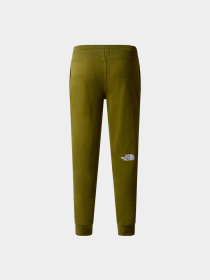Брюки The North Face модель NF0A89SUPIB1 Фото