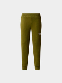 Брюки The North Face модель NF0A89SUPIB1 Фото