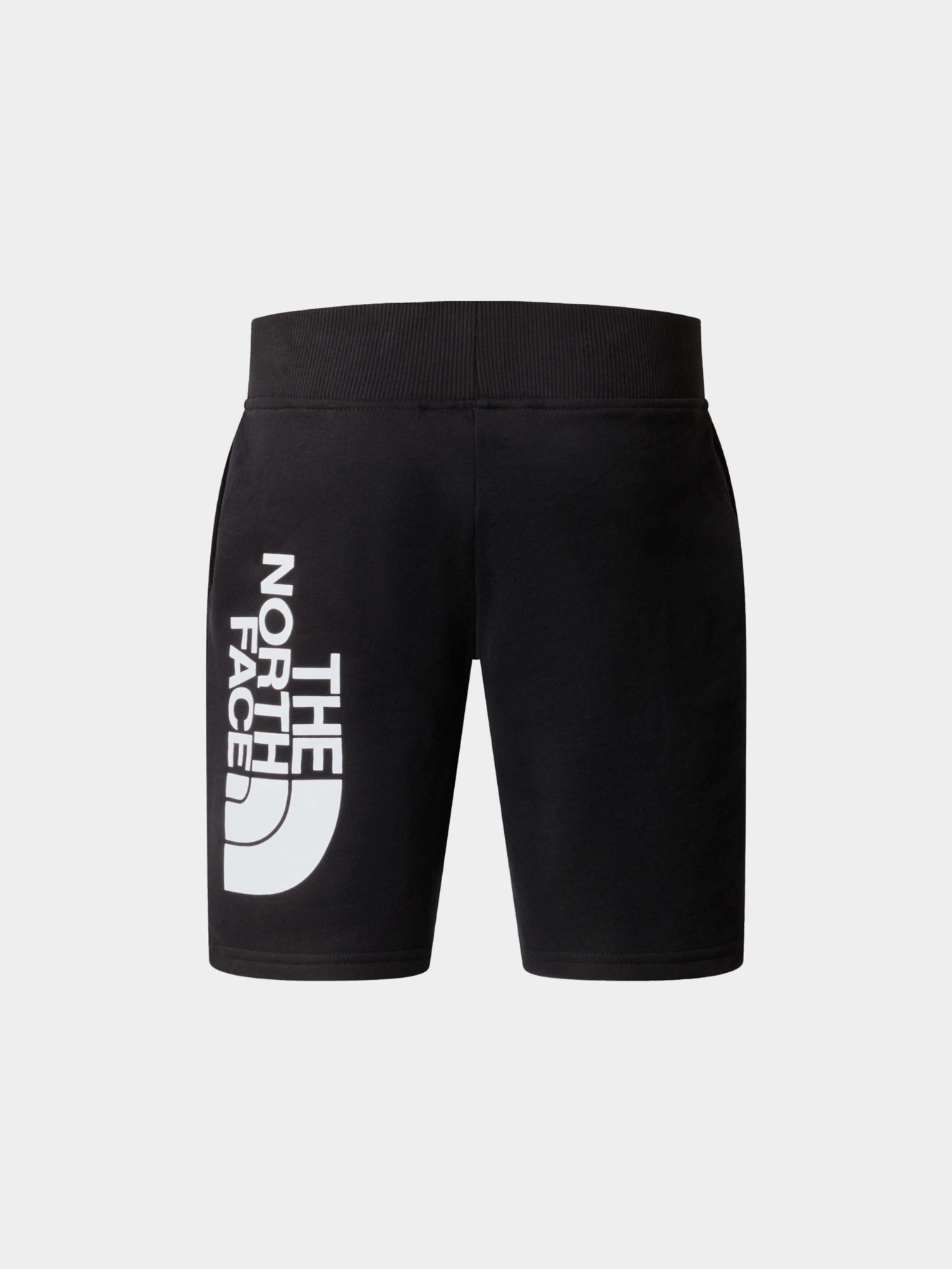 Шорты The North Face модель NF0A89P0JK31 Фото