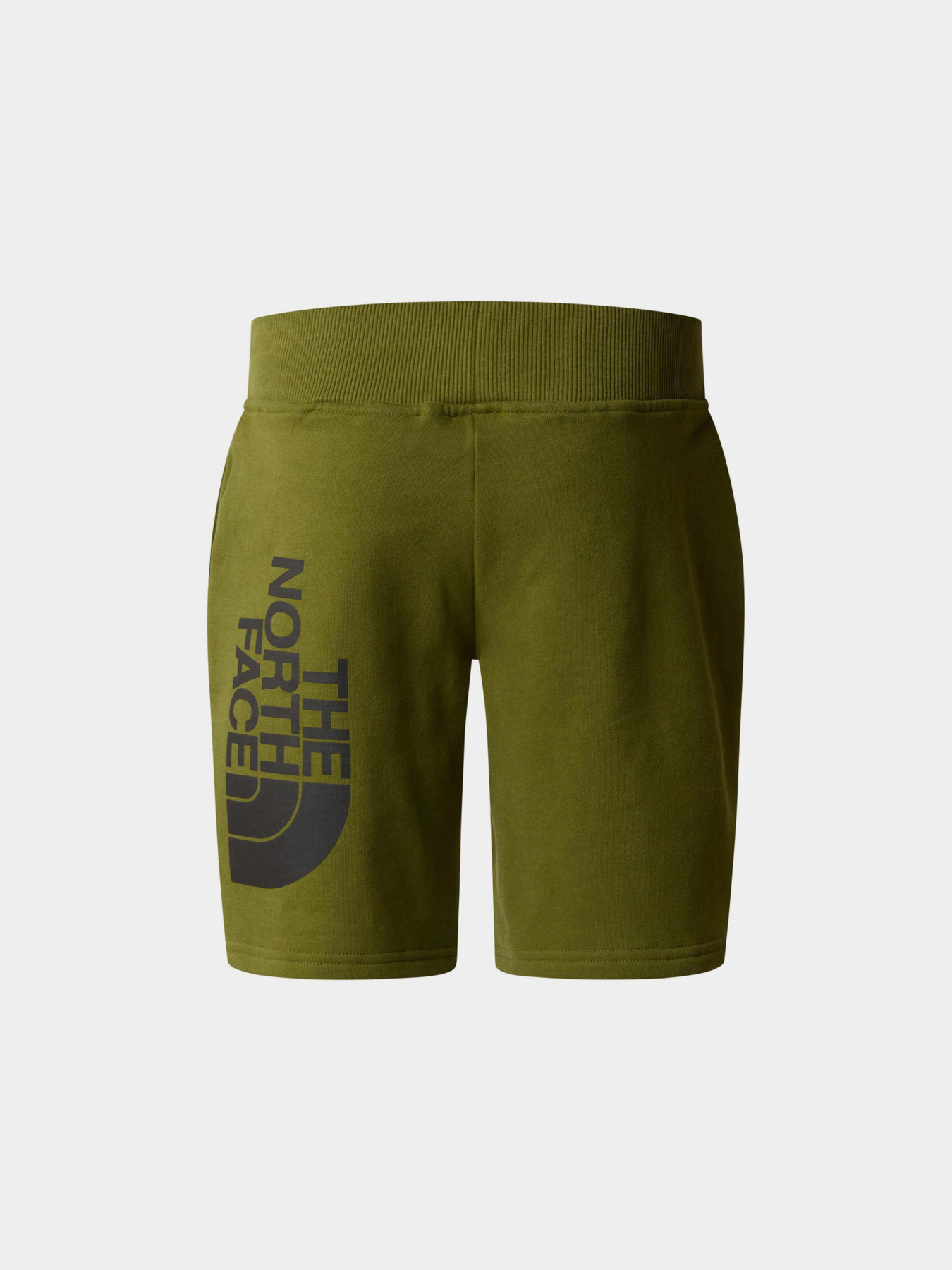 Шорты The North Face модель NF0A89P0PIB1 Фото